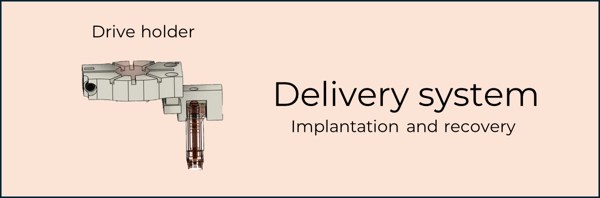 Delivery system