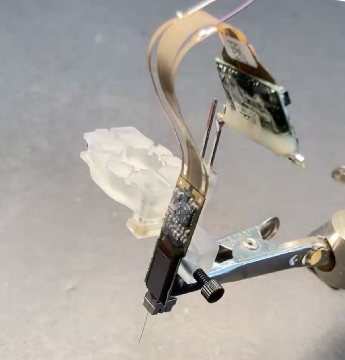 Neuropixels 1.0 probe mounted on the R2drive